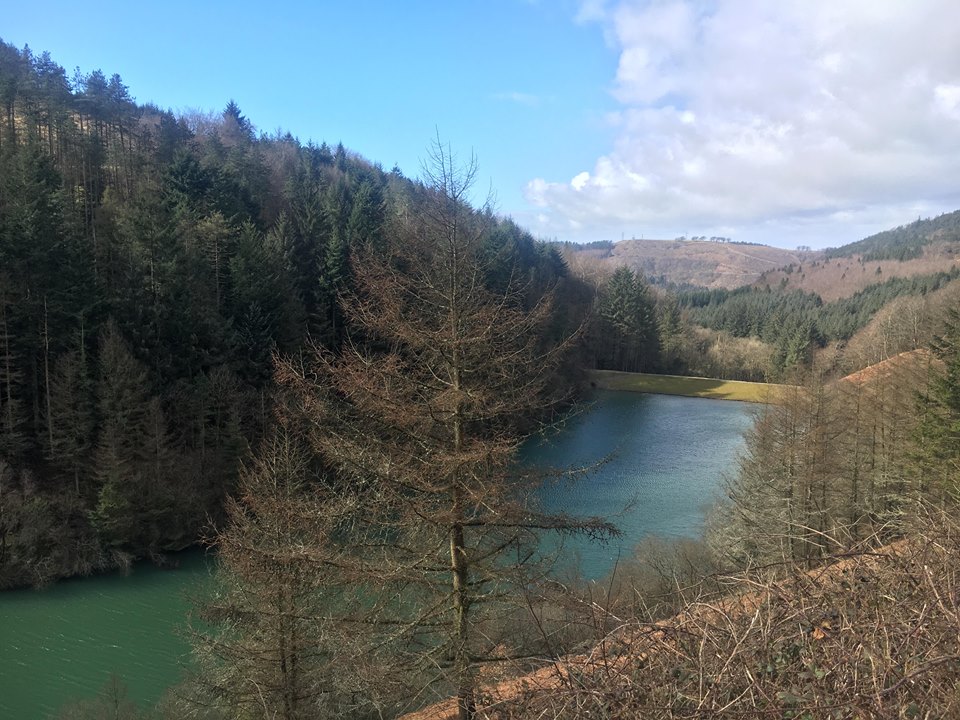 goytre res from above 3