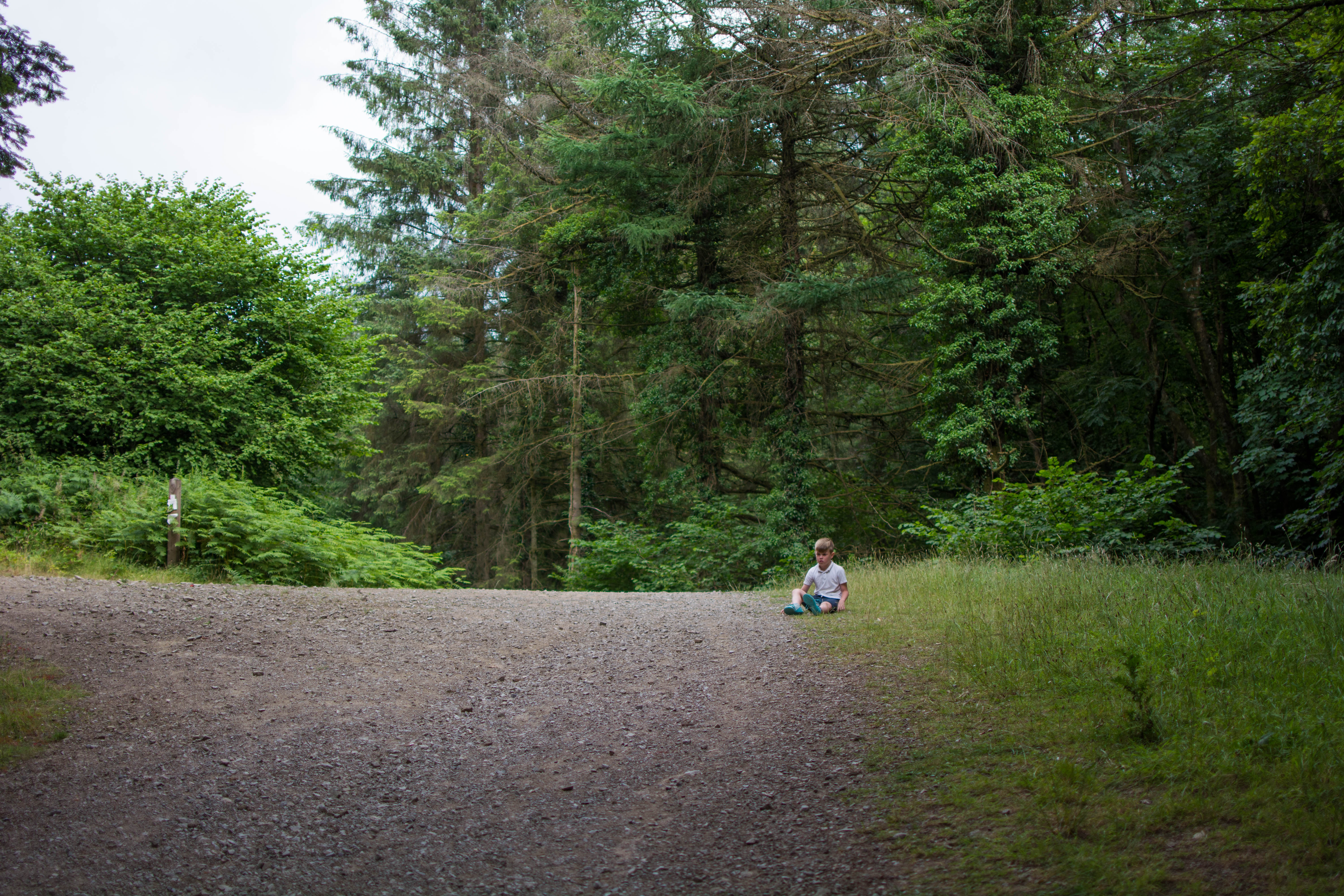 Goytre Res July 2018 at crossroads (1 of 1)