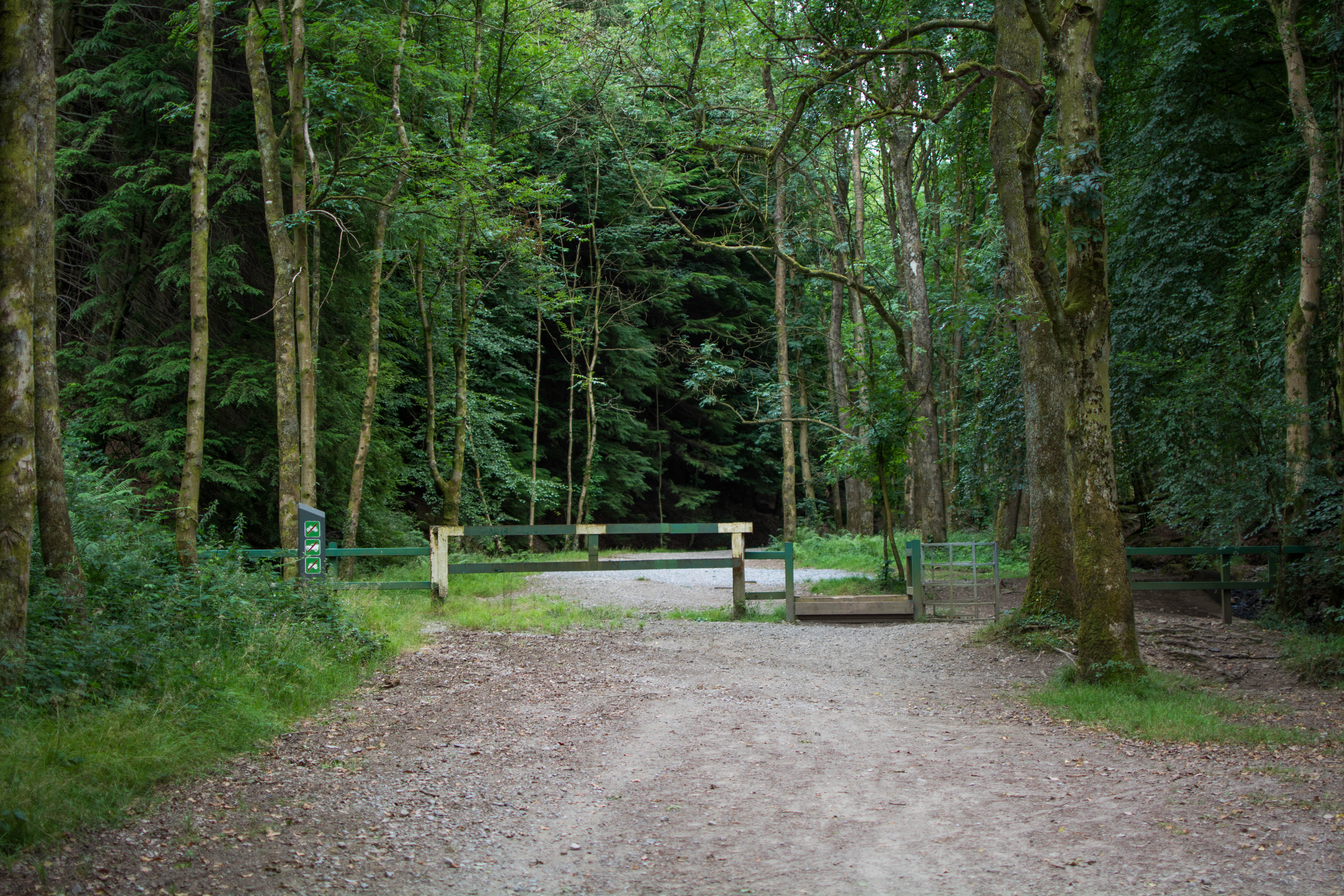 Goytre Res July 2018 at gate (1 of 1)
