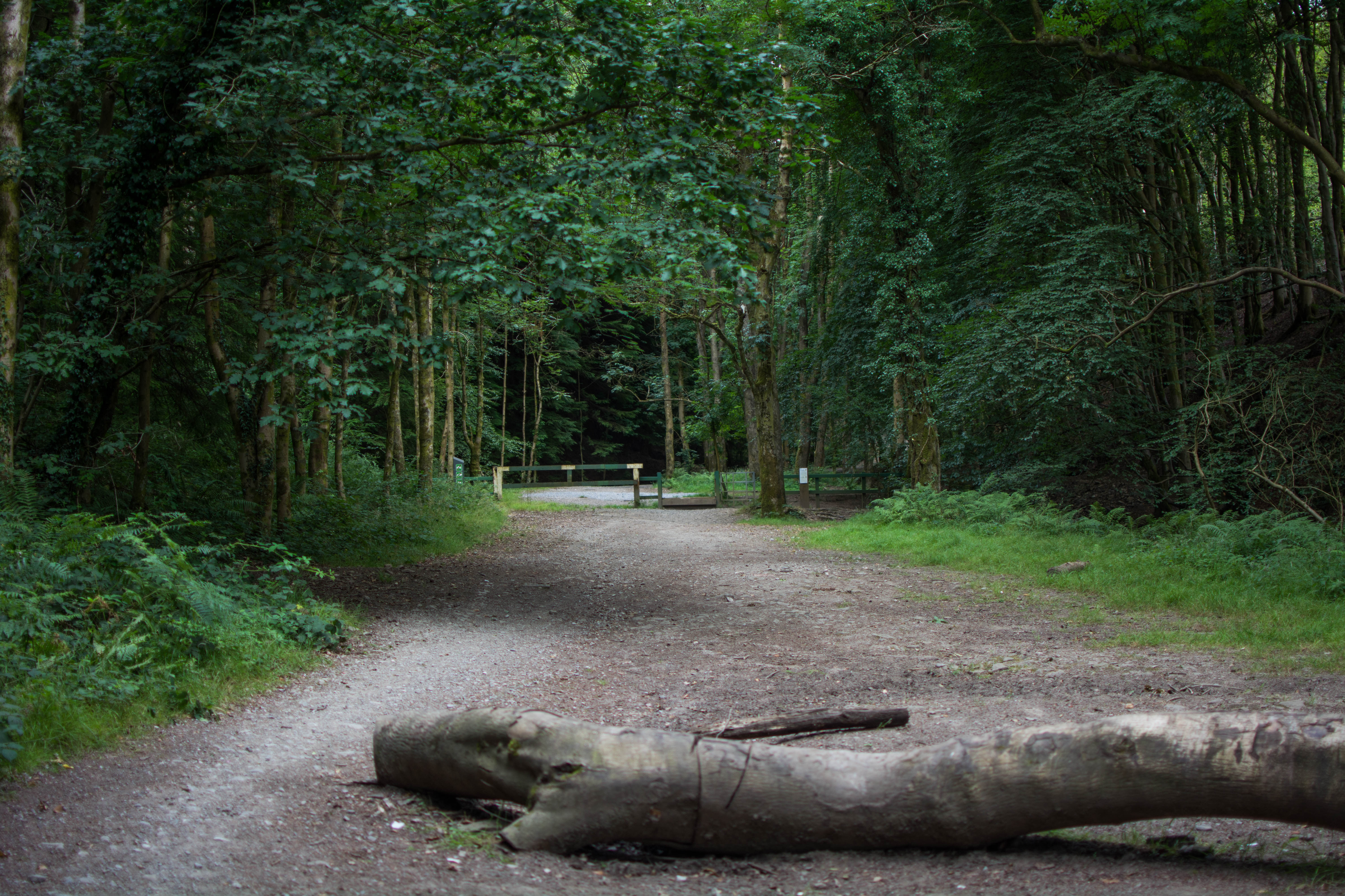 Goytre Res July 2018 at log (1 of 1)