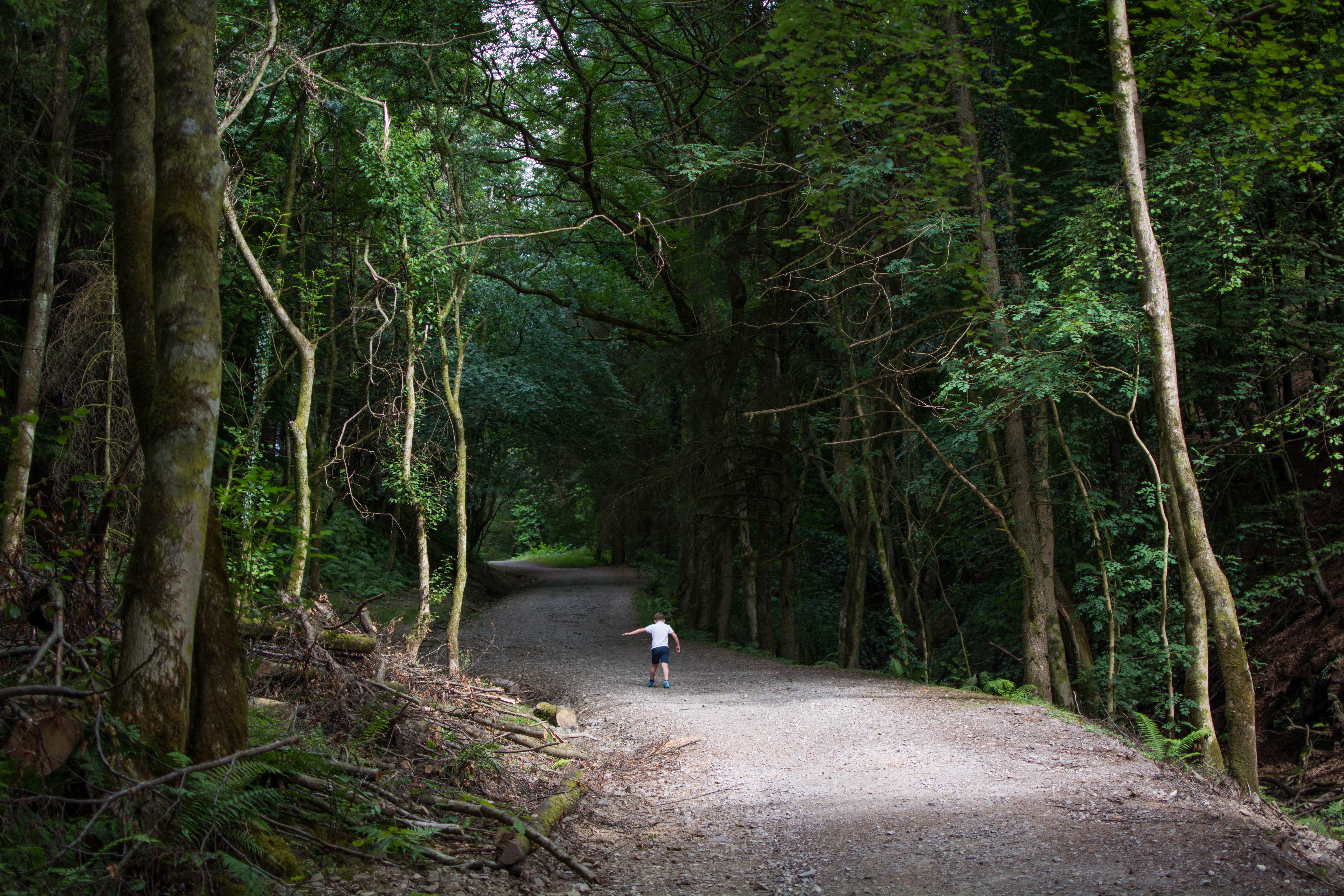 Goytre Res July 2018 at middle (1 of 1)