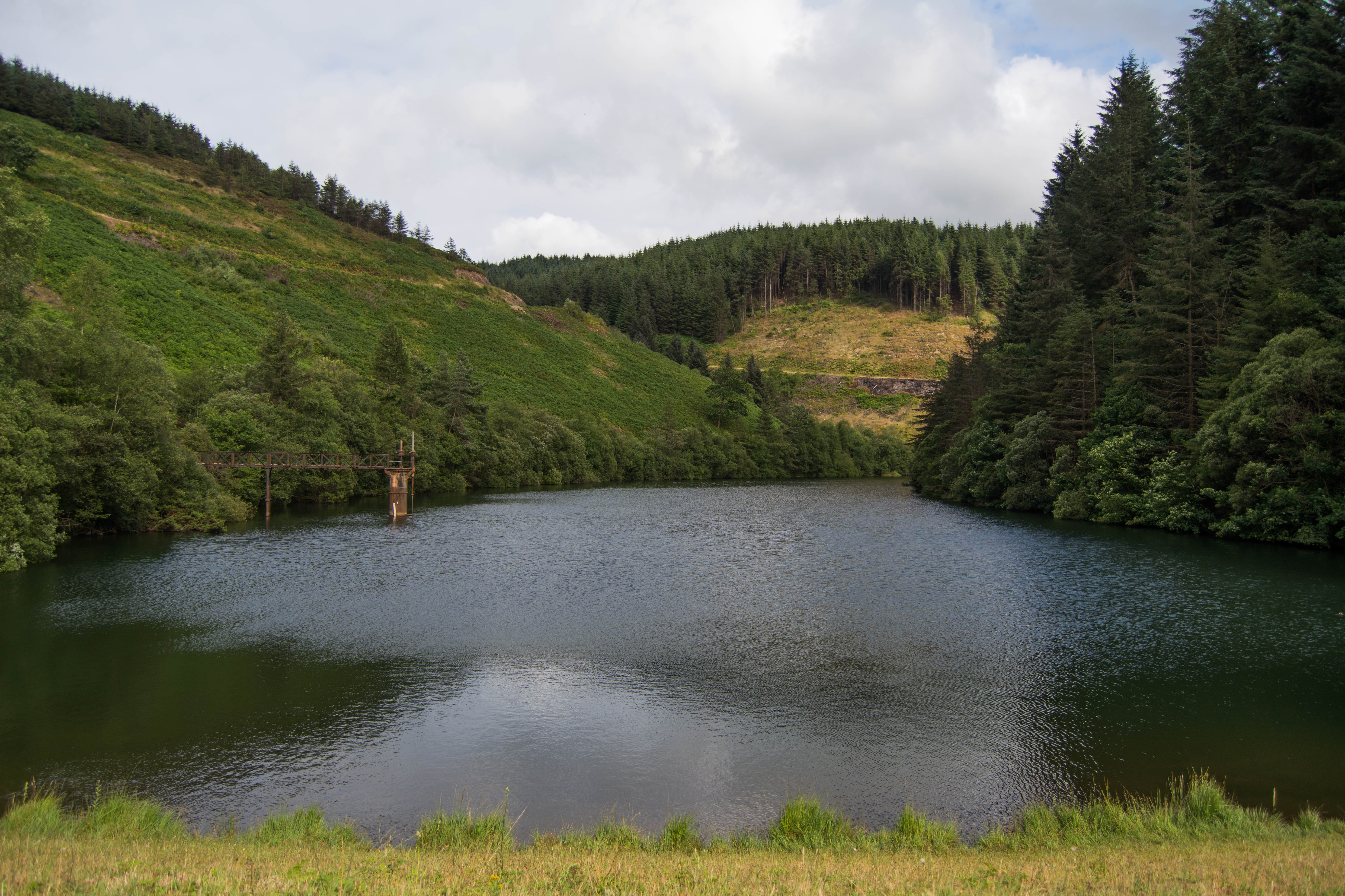 Goytre Res July 2018 at the res (1 of 1)