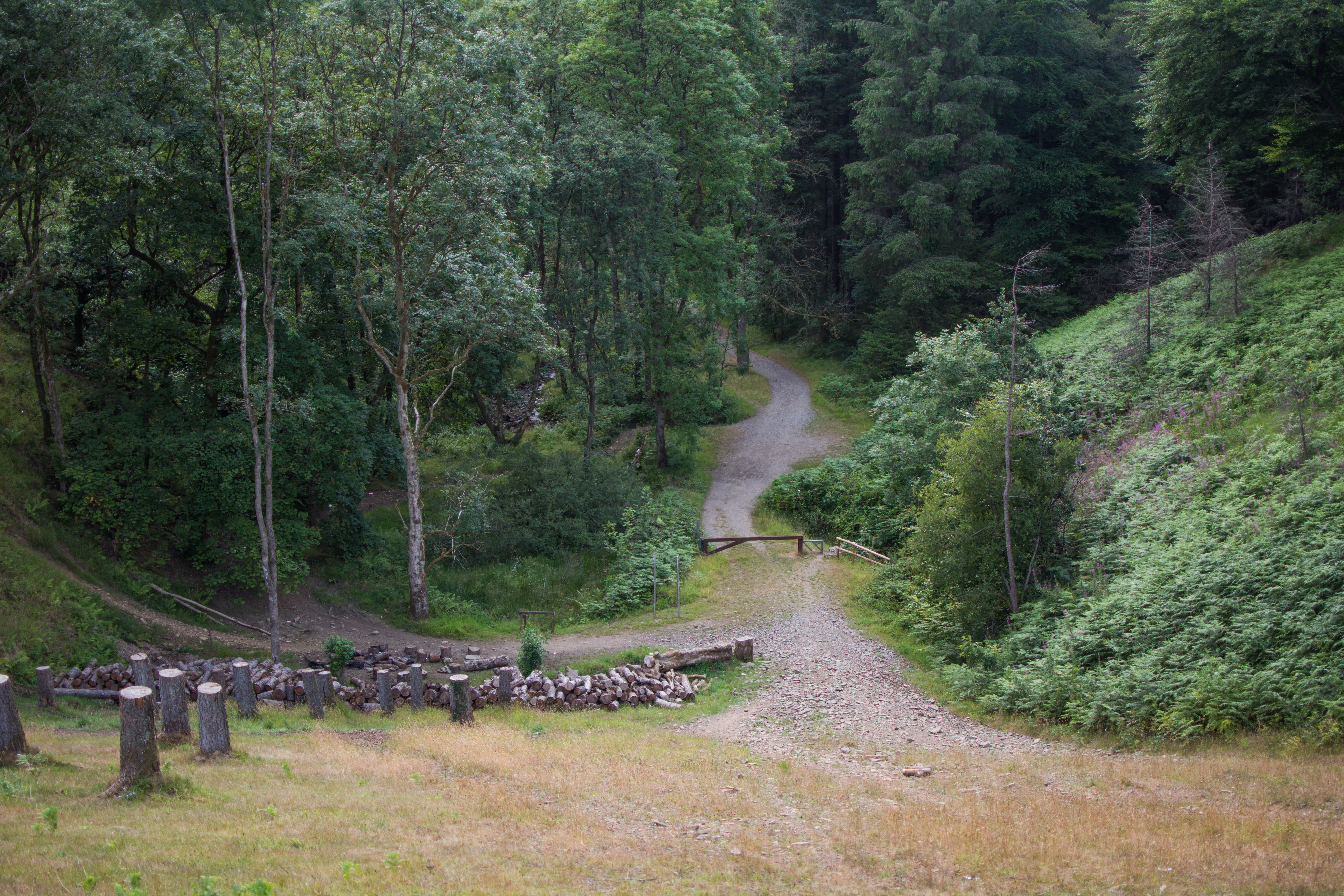Goytre Res July 2018 at the top of hill looking down (1 of 1)