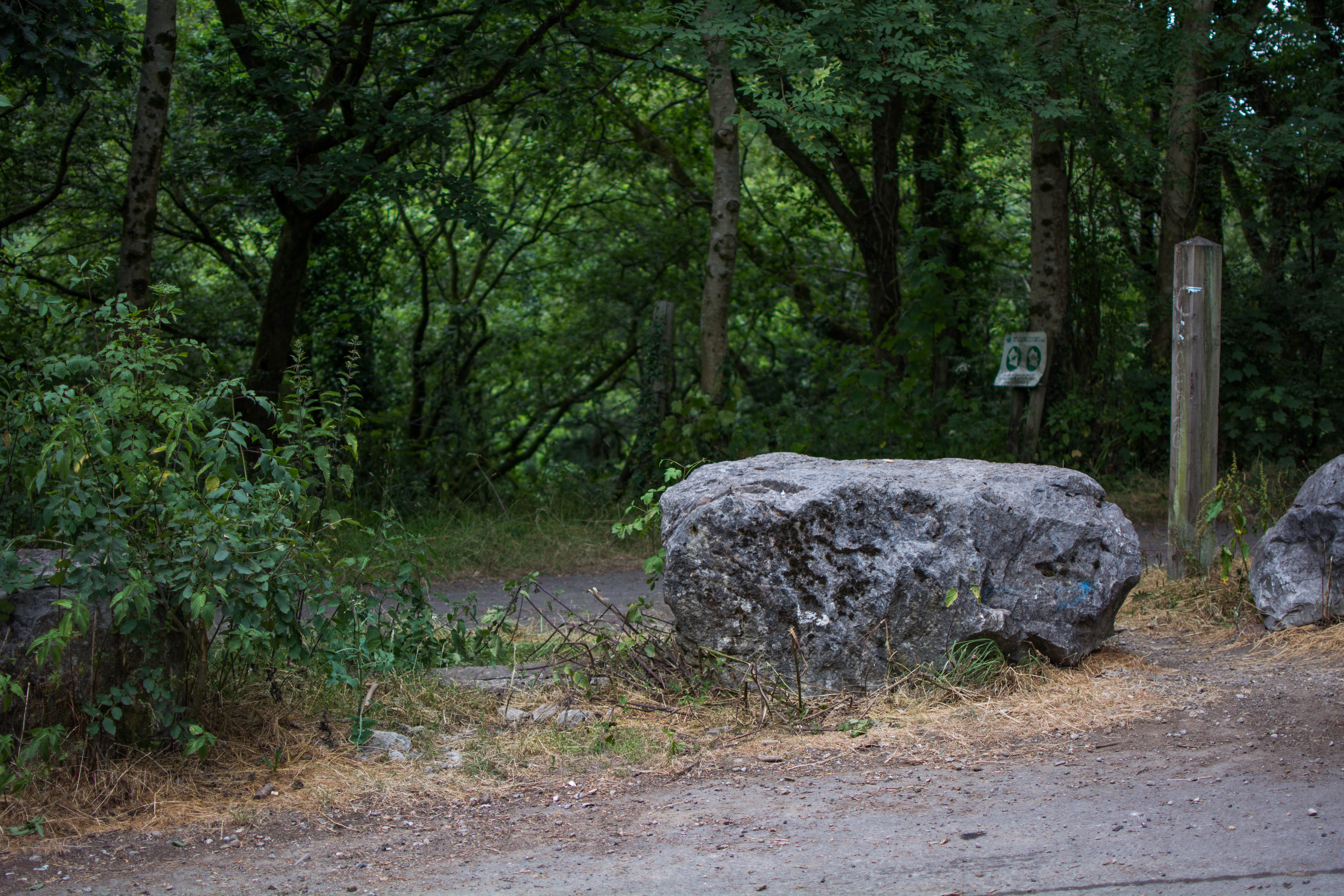 Goytre Res July 2018 rocks at start (1 of 1)