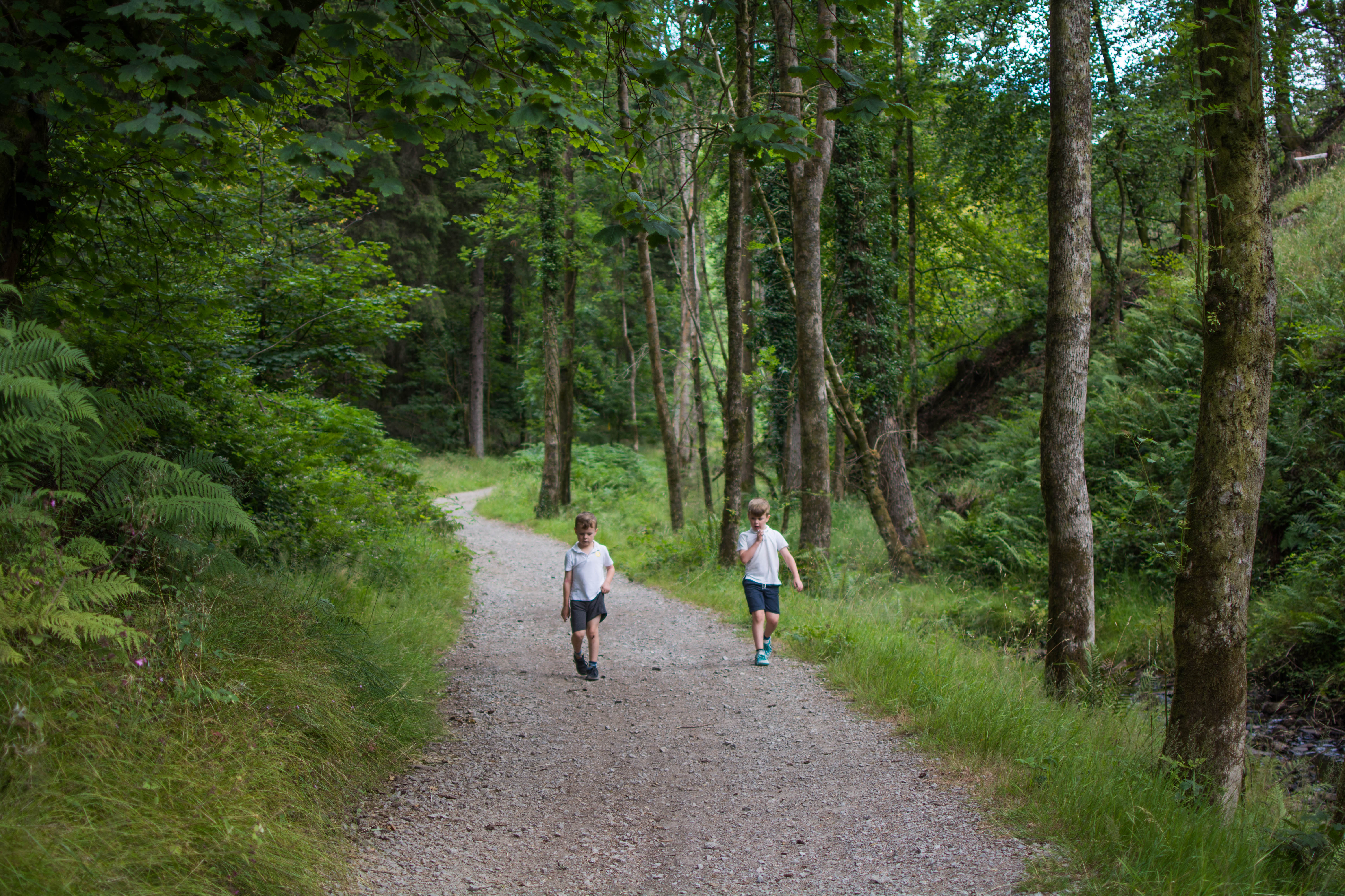 Goytre Res July 2018 walking back (1 of 1)