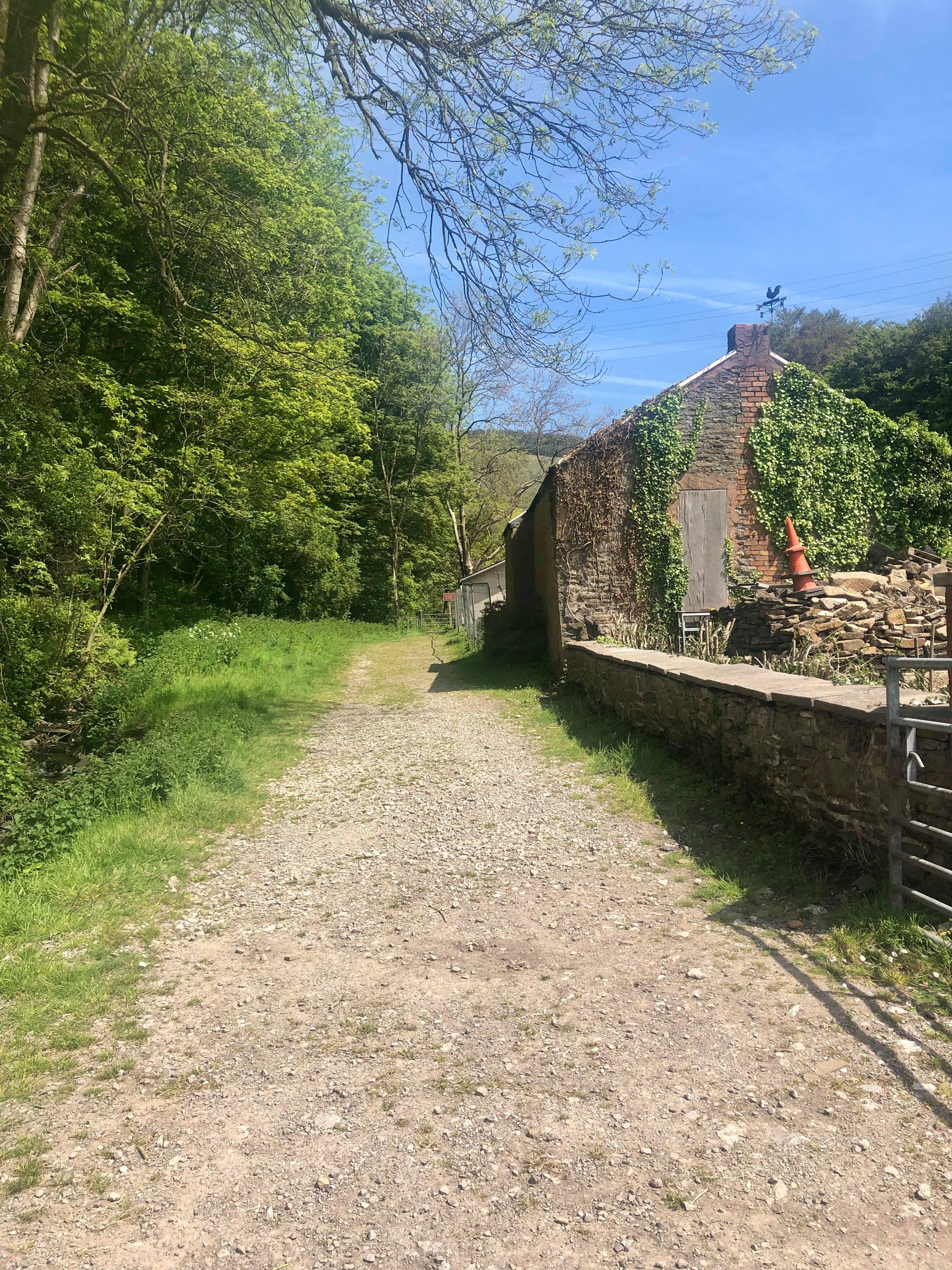 60449428_2287723688160732_1582265522349670400_n