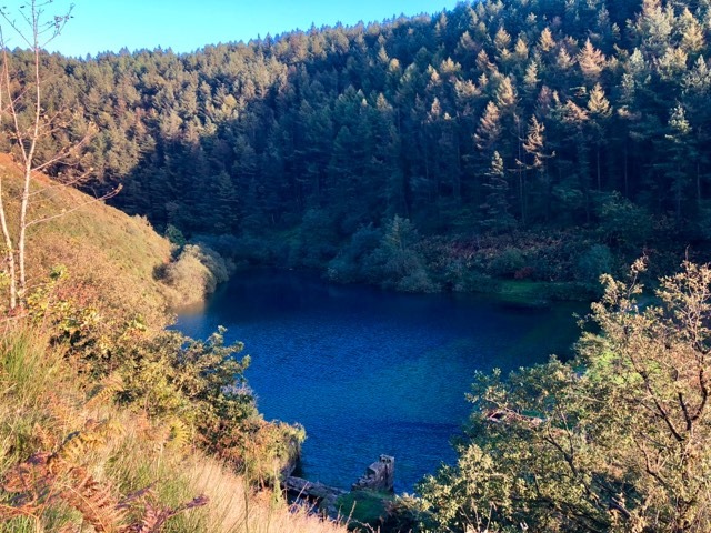 60546080_885924725084688_2482227575074586624_n