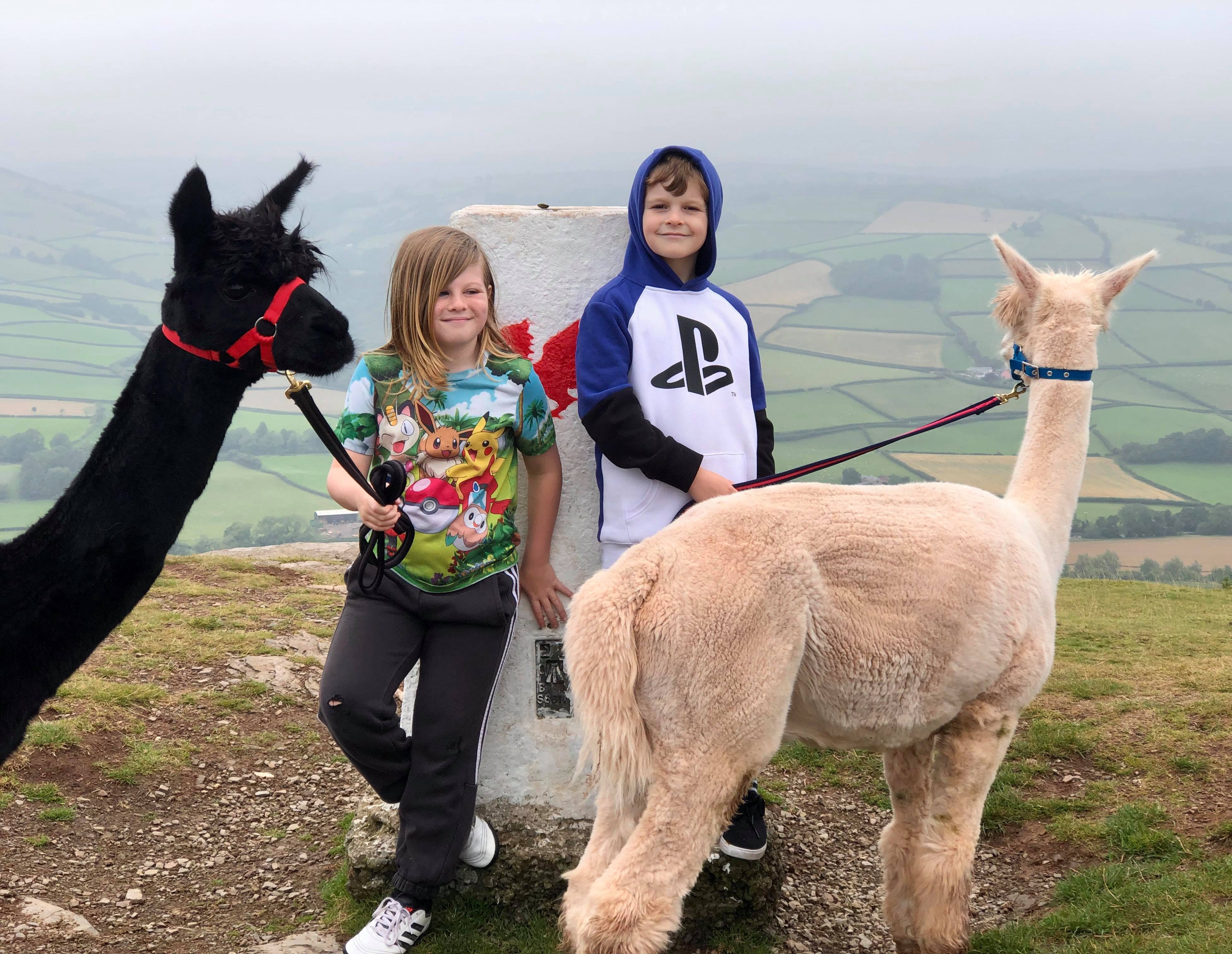 118255490_340262040489409_580739233331511068_n