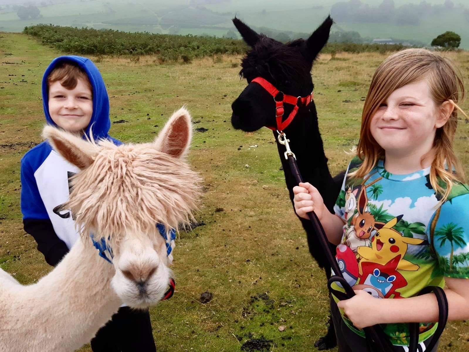 118306903_2668601206686376_1819094775613178143_n